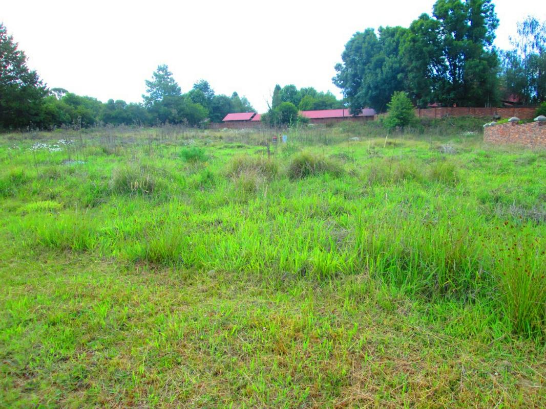 Vacant land for sale in Dullstroom - 1DS1748291