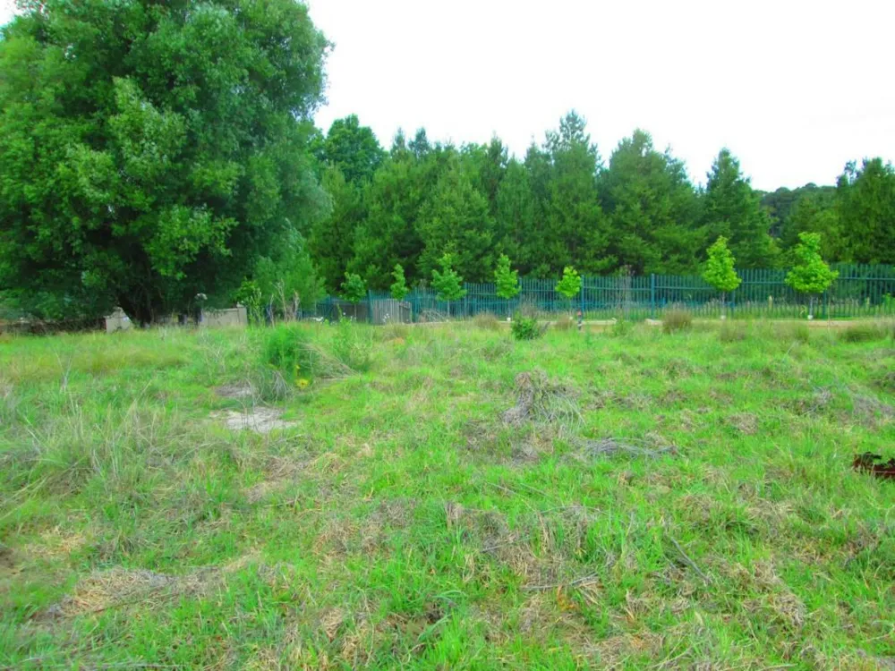 Vacant land sold in Dullstroom - 1DS1748291 Vacant land sold in Dullstroom - 1DS1748291