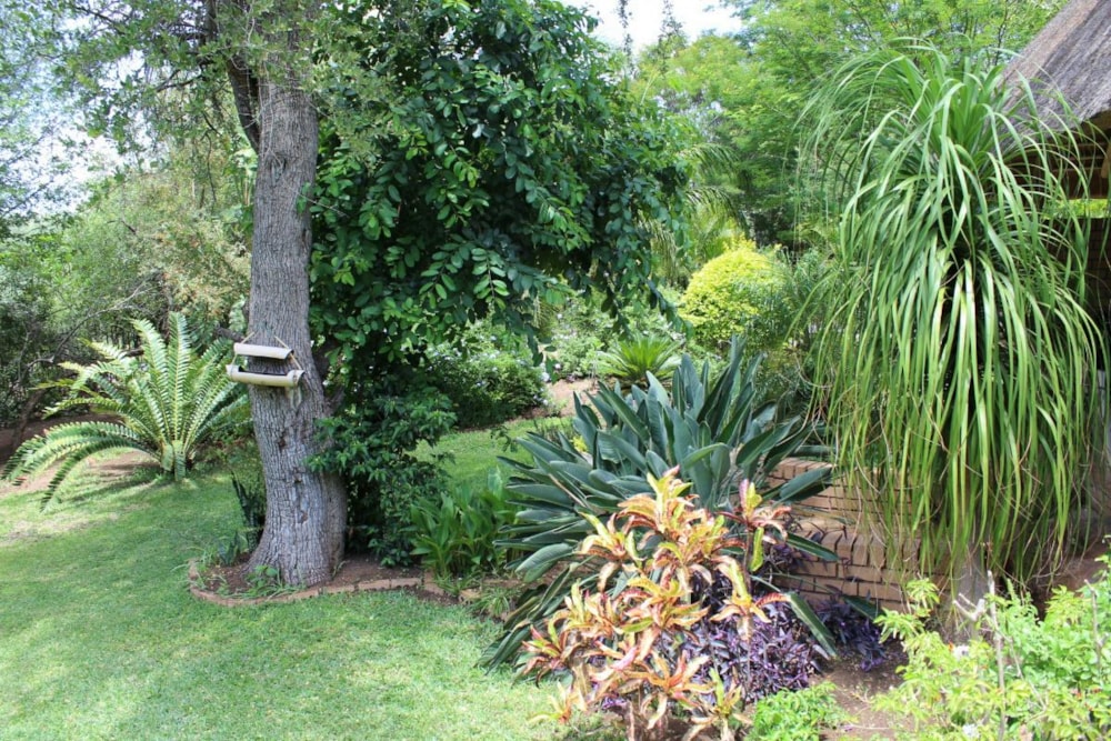 Double-storey house for sale in Phalaborwa - 1PW1697972