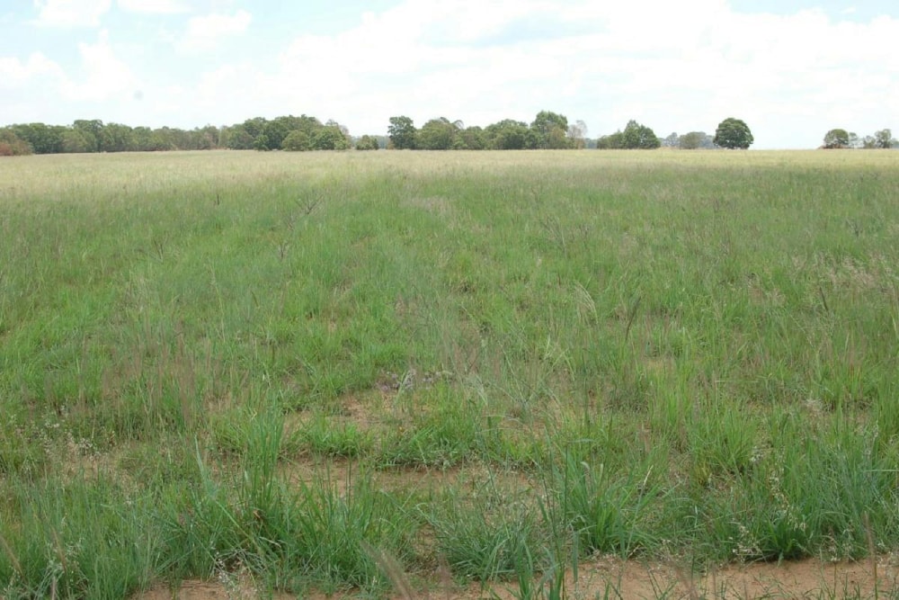 Vacant land for sale in Bronkhorstbaai - PRN1688769