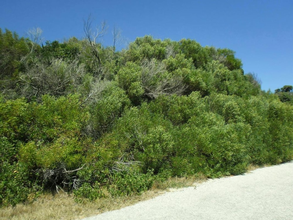 Vacant land sold in Boknesstrand - 1KO1665475 Vacant land sold in Boknesstrand - 1KO1665475