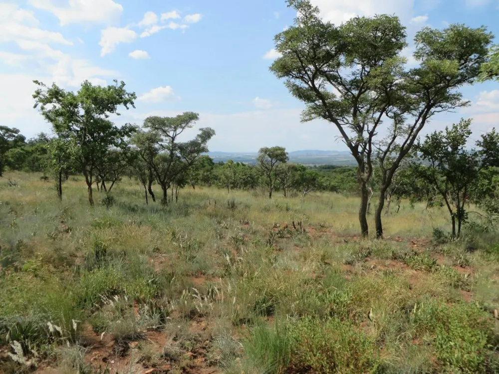 Mixed use farm for sale in Zandfontein, Hartbeespoort - 1HR1700535