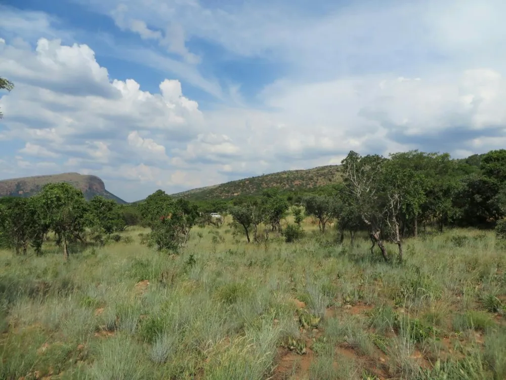 Mixed use farm for sale in Zandfontein, Hartbeespoort - 1HR1700535
