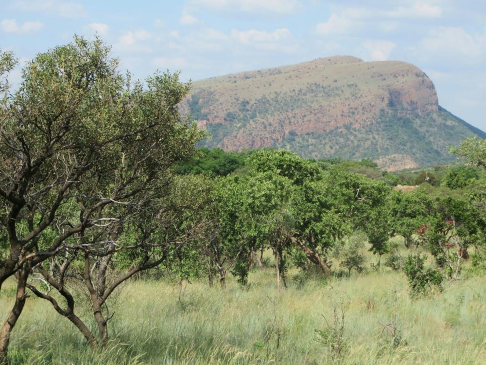 Mixed use farm for sale in Zandfontein, Hartbeespoort - 1HR1700535