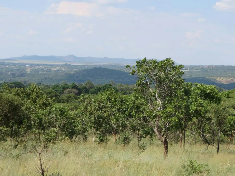 Mixed use farm for sale in Zandfontein, Hartbeespoort - 1HR1700535