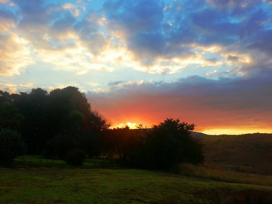 Livestock farm for sale in Lydenburg (Mashishing) - 1LY1677761