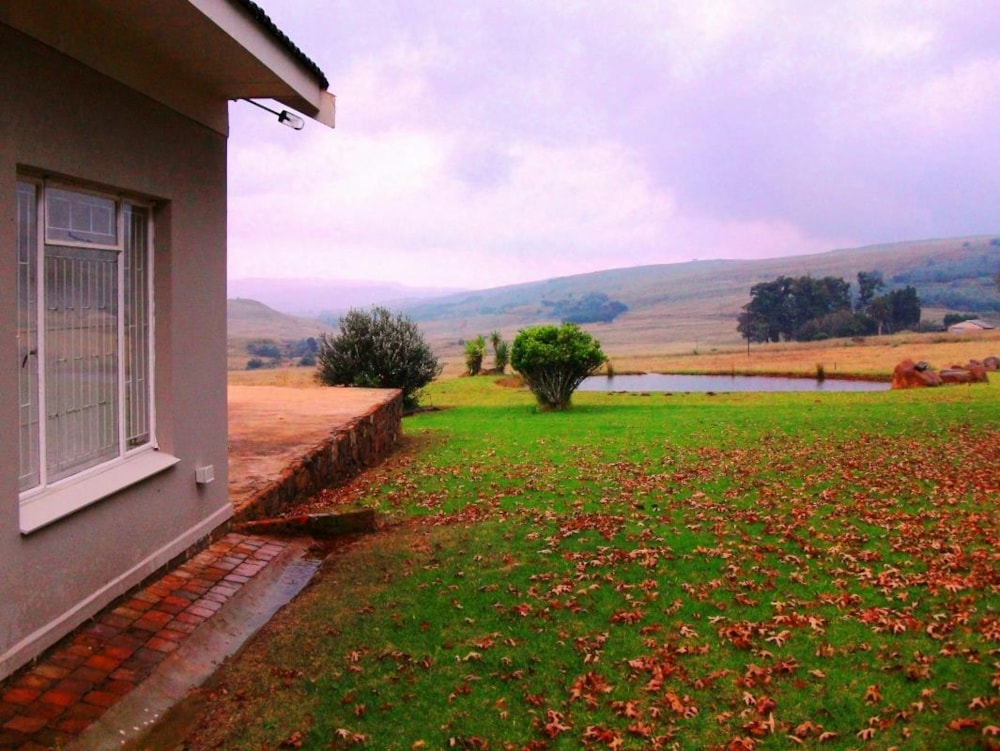 Livestock farm for sale in Lydenburg (Mashishing) - 1LY1677761 Livestock farm for sale in Lydenburg (Mashishing) - 1LY1677761