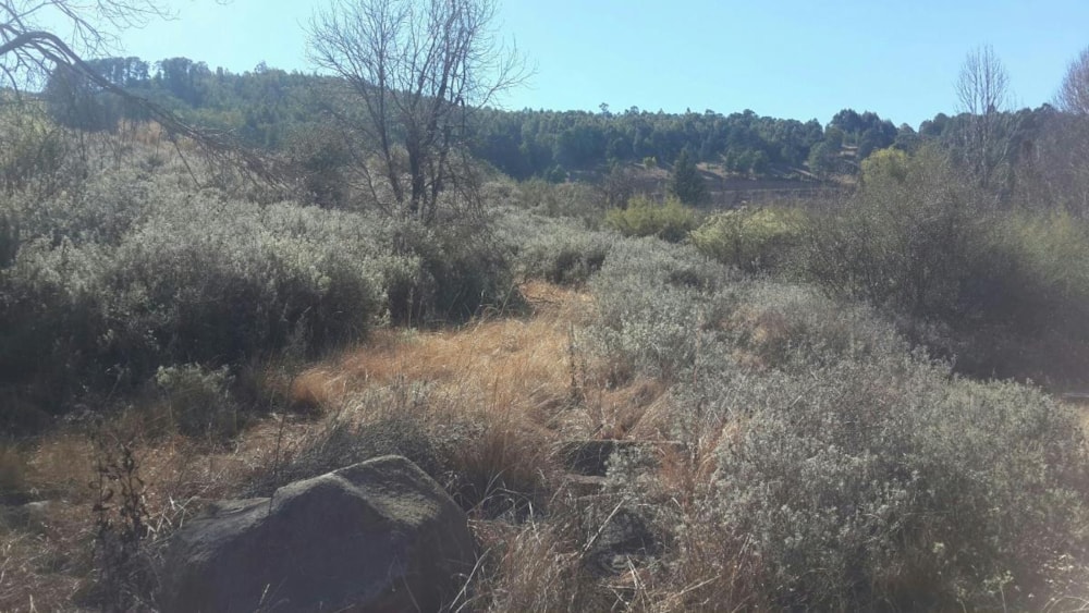 Vacant land sold in Dullstroom - 1DS1740333