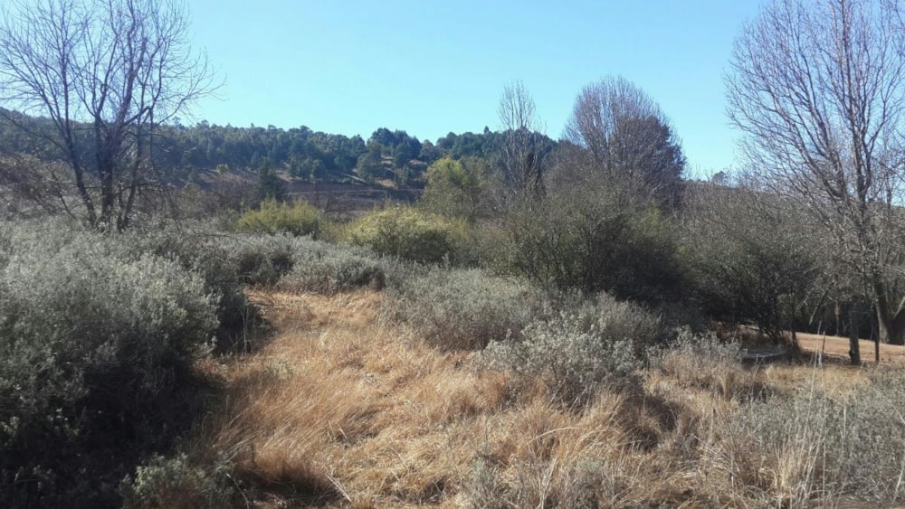 Vacant land sold in Dullstroom - 1DS1740333