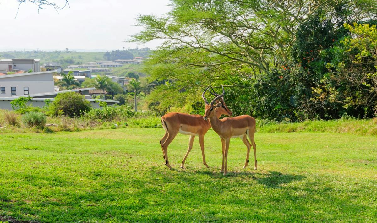 Residential vacant land for sale in Palm Lakes Estates - 1BD1695429