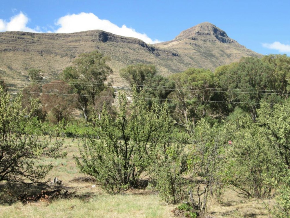Residential vacant land for sale in Clarens - 1CS1716540 Residential vacant land for sale in Clarens - 1CS1716540
