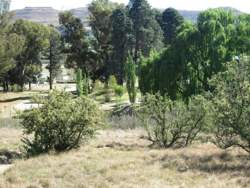 Residential vacant land sold in Clarens - 1CS1716540 Residential vacant land sold in Clarens - 1CS1716540