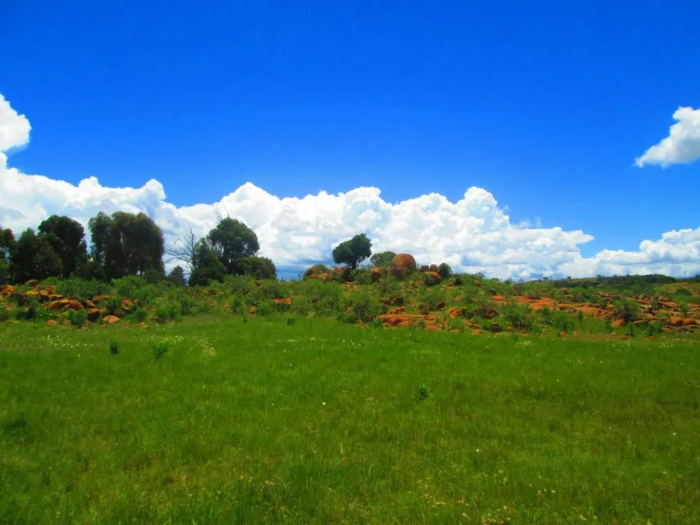 Smallholding sold in Dullstroom - 1DS1687871