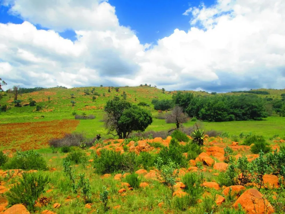 Smallholding sold in Dullstroom - 1DS1687871