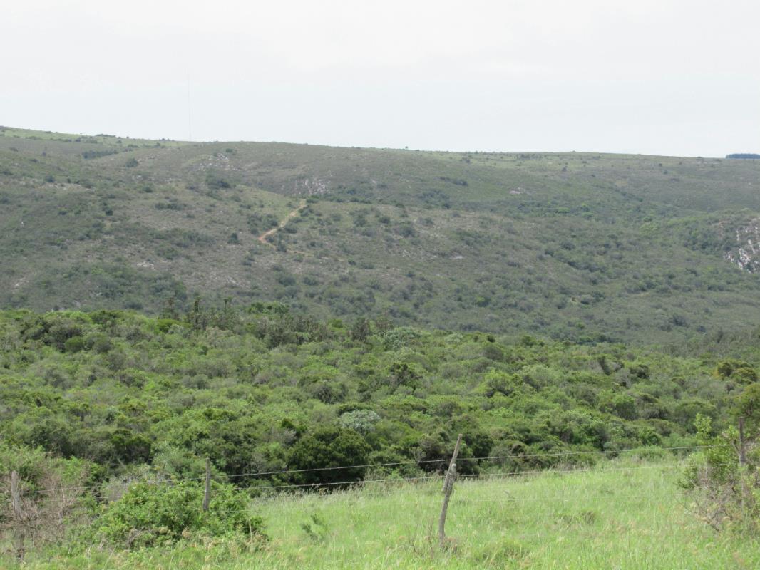 Mixed use farm for sale in Grahamstown (Makhanda) - 1GC1710985