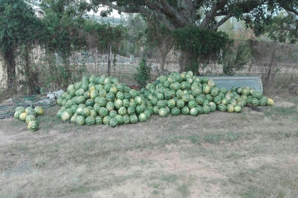 Mixed use farm for sale in Grahamstown (Makhanda) - 1GC1710985