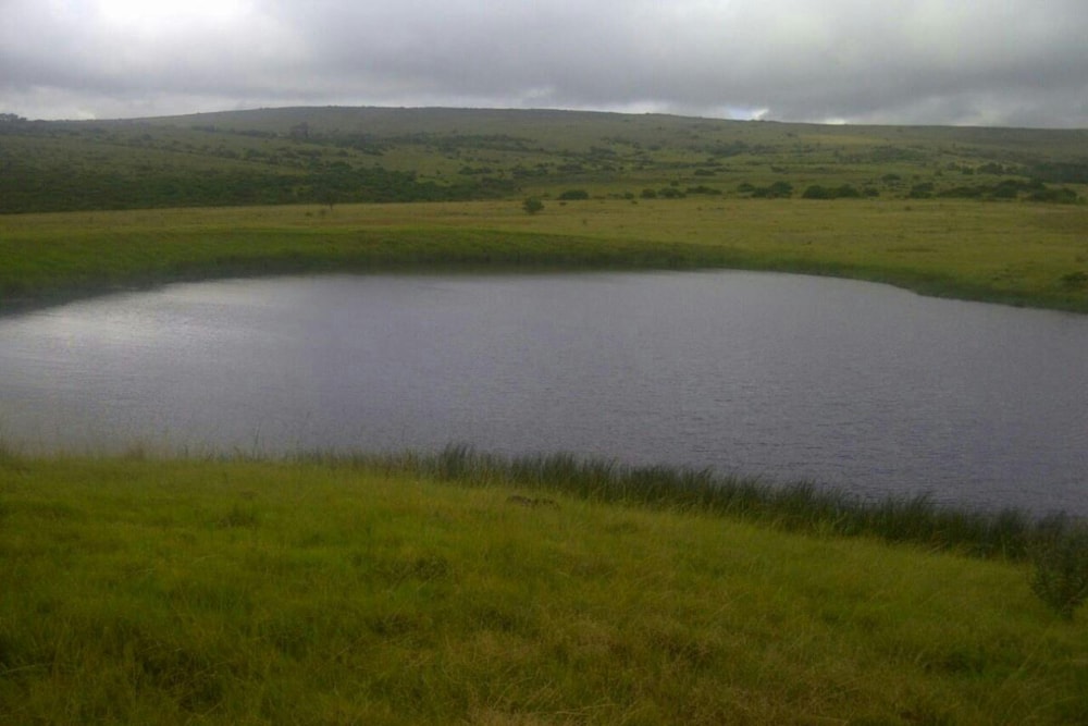 Mixed use farm for sale in Grahamstown (Makhanda) - 1GC1710985