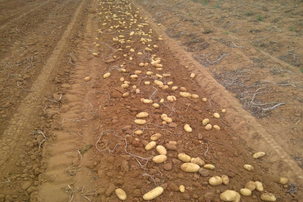 Mixed use farm for sale in Grahamstown (Makhanda) - 1GC1710985