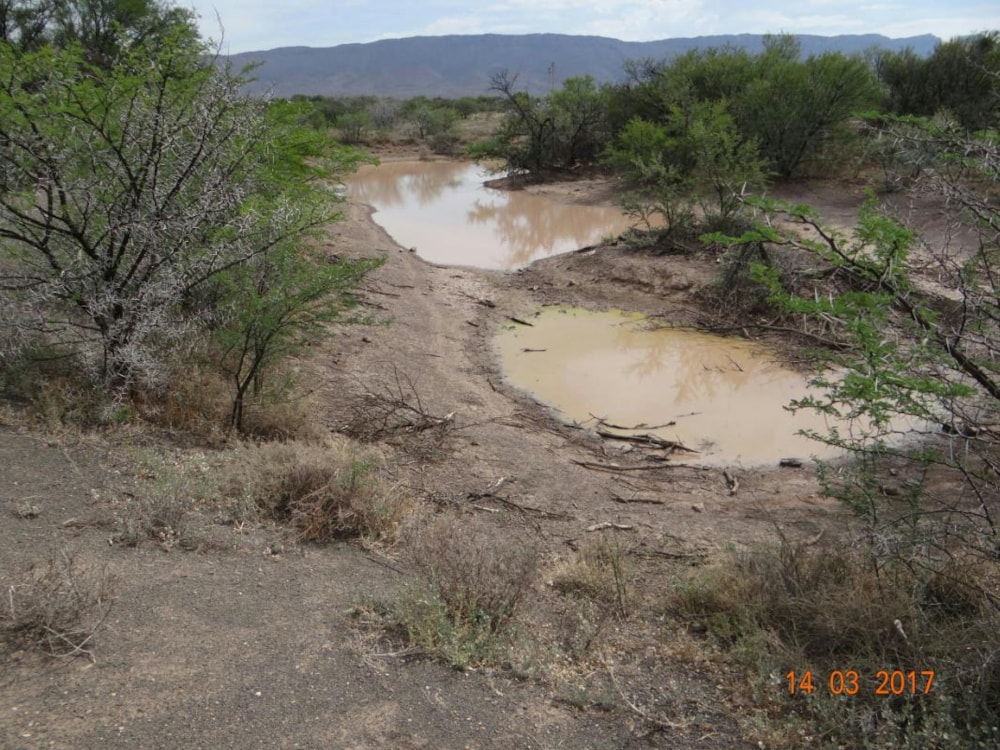Smallholding sold in Beaufort West Rural - 1KK1710366 Smallholding sold in Beaufort West Rural - 1KK1710366