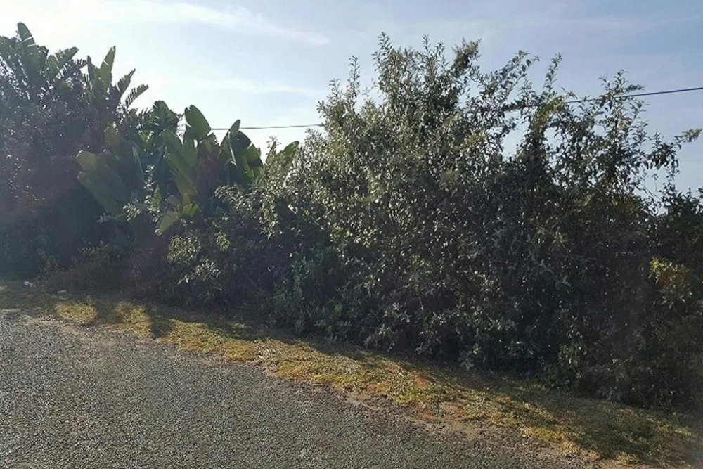 Residential vacant land for sale in Hibberdene - 1PX1652359