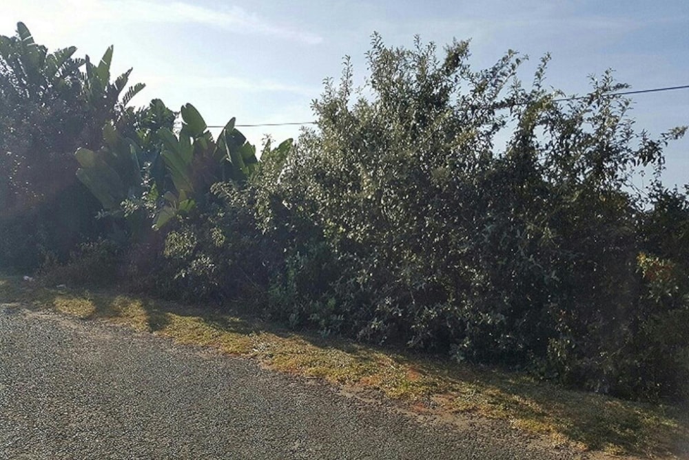 Residential vacant land for sale in Hibberdene - 1PX1652359 Residential vacant land for sale in Hibberdene - 1PX1652359