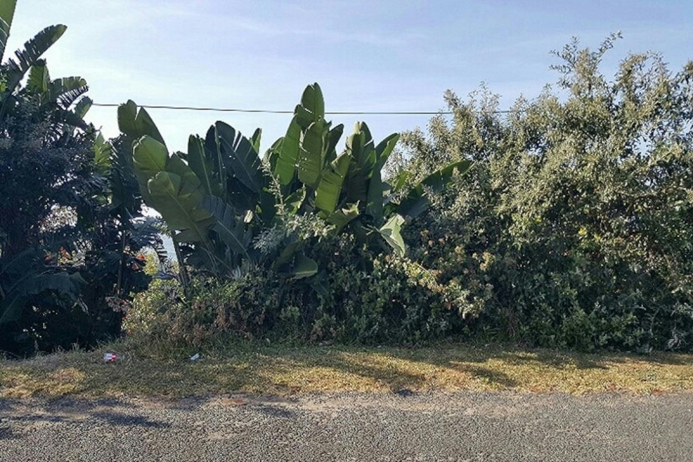 Residential vacant land for sale in Hibberdene - 1PX1652359 Residential vacant land for sale in Hibberdene - 1PX1652359