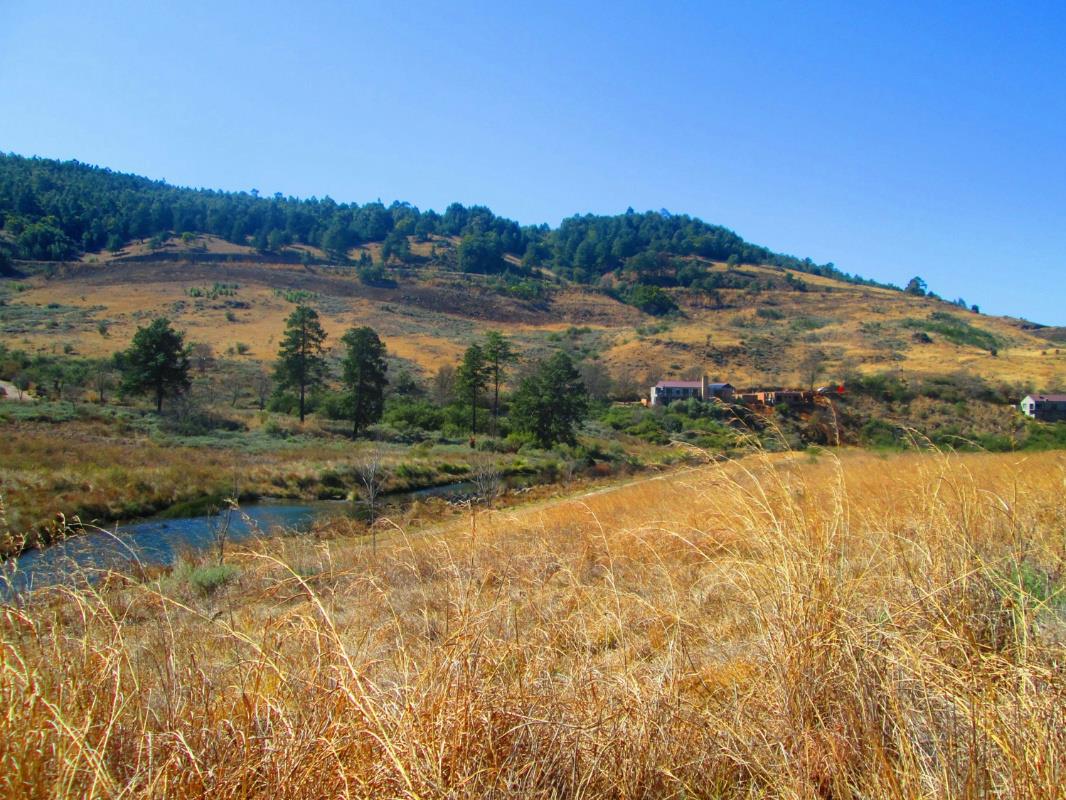 Vacant land sold in Dullstroom - 1DS1710748
