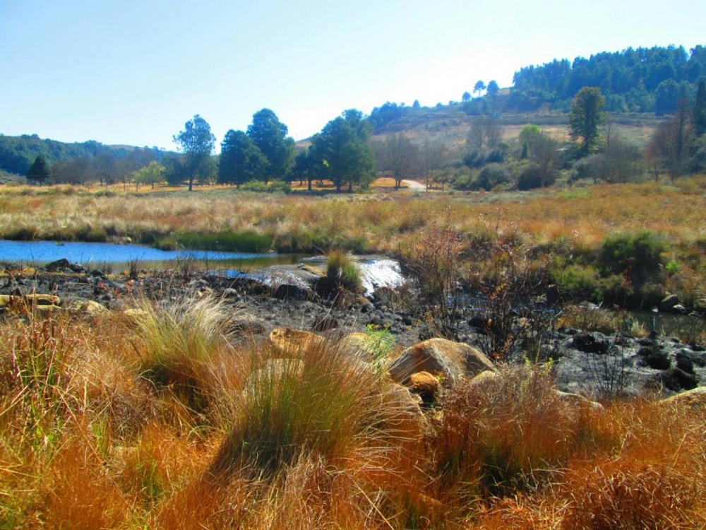 Vacant land sold in Dullstroom - 1DS1710748 Vacant land sold in Dullstroom - 1DS1710748