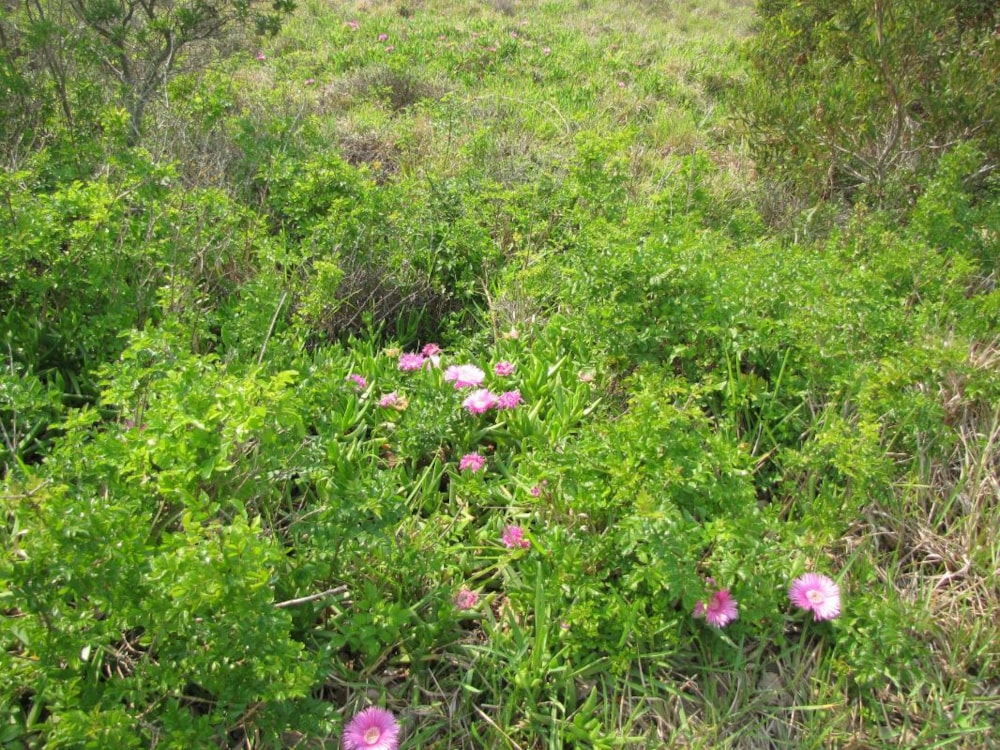 Vacant land for sale in Boesmansriviermond - 1KO1728258