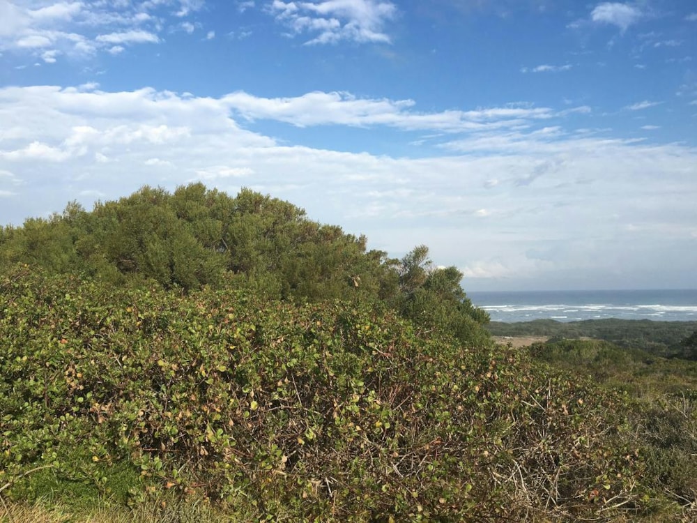 Vacant land for sale in Cannon Rocks - 1KO1681734