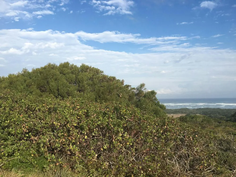 Vacant land sold in Cannon Rocks - 1KO1681734 Vacant land sold in Cannon Rocks - 1KO1681734