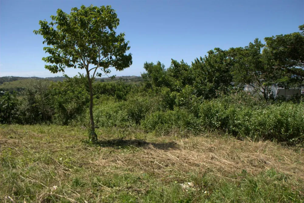 Residential vacant land for sale in Salt Rock - 1BO1364849 Residential vacant land for sale in Salt Rock - 1BO1364849