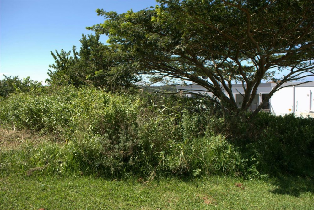 Residential vacant land for sale in Salt Rock - 1BO1364849 Residential vacant land for sale in Salt Rock - 1BO1364849