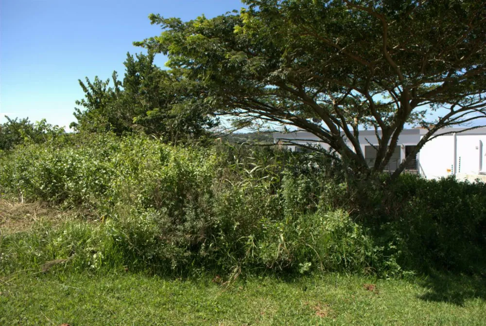 Residential vacant land for sale in Salt Rock - 1BO1364849 Residential vacant land for sale in Salt Rock - 1BO1364849