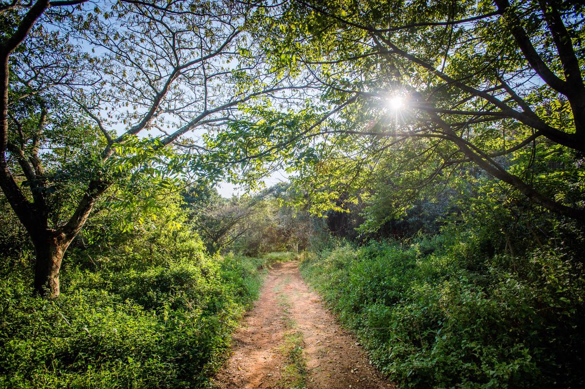 Residential vacant land sold in Sheffield Beach - 1BD1716550