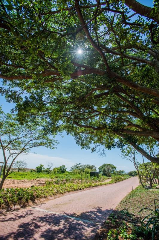 Residential vacant land sold in Sheffield Beach - 1BD1716550