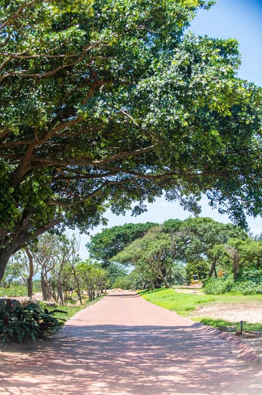 Residential vacant land sold in Sheffield Beach - 1BD1716550