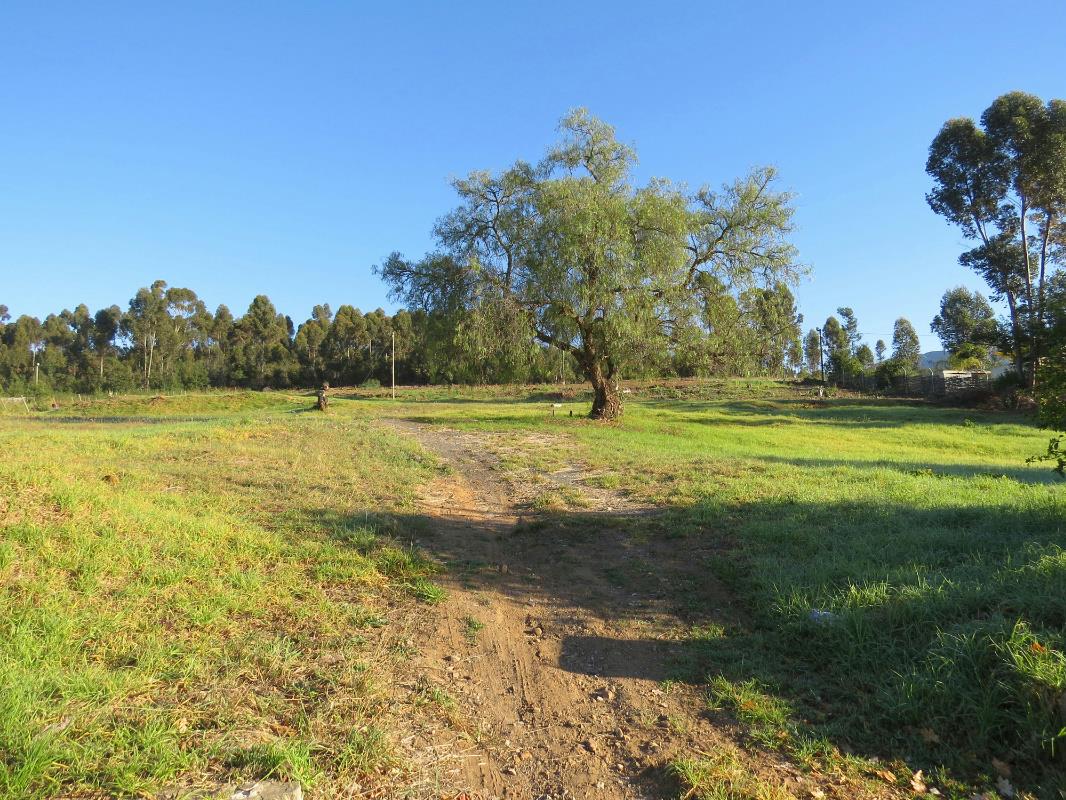 Vacant land for sale in Swellendam - 1SW1703276