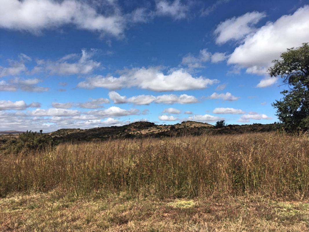 Vacant land for sale in Berg en Dal, Heidelberg - 1SP1672644