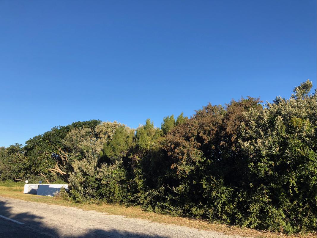 Vacant land for sale in Boknesstrand - 1KO1735269