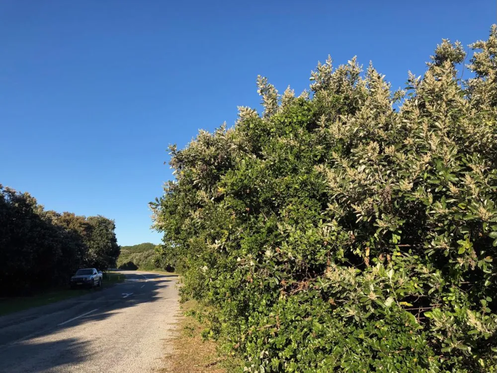 Vacant land sold in Boknesstrand - 1KO1735269 Vacant land sold in Boknesstrand - 1KO1735269