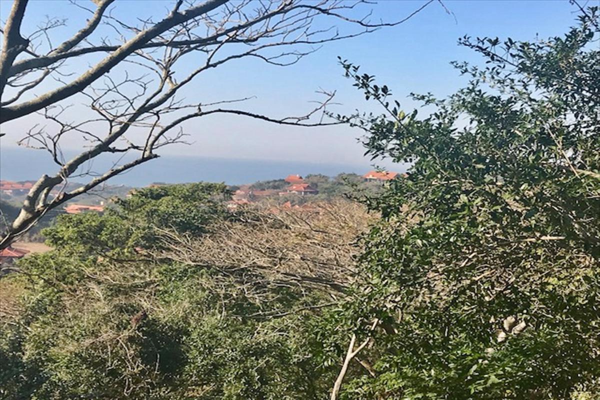 Residential vacant land for sale in Hilltop Estate - 1BD1679265