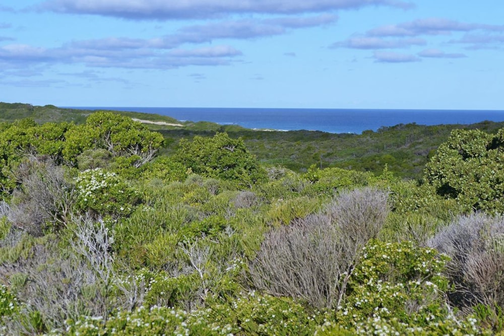 Vacant land for sale in Cape St Francis - 1SA1715812 Vacant land for sale in Cape St Francis - 1SA1715812