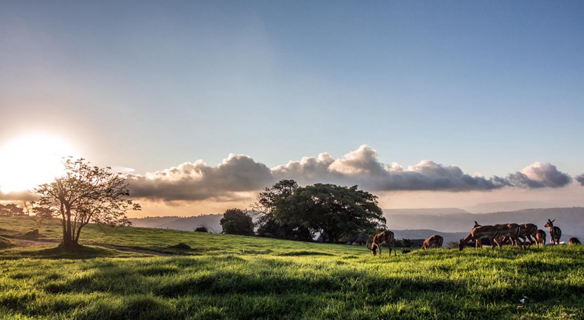 Vacant land for sale in Phezulu Estate - 1KF1717097