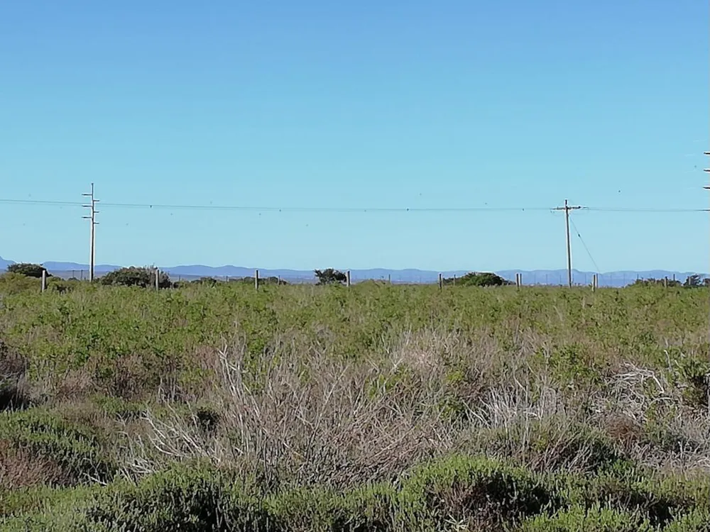 Vacant land sold in St Francis Bay Rural - 1SA1697322 Vacant land sold in St Francis Bay Rural - 1SA1697322
