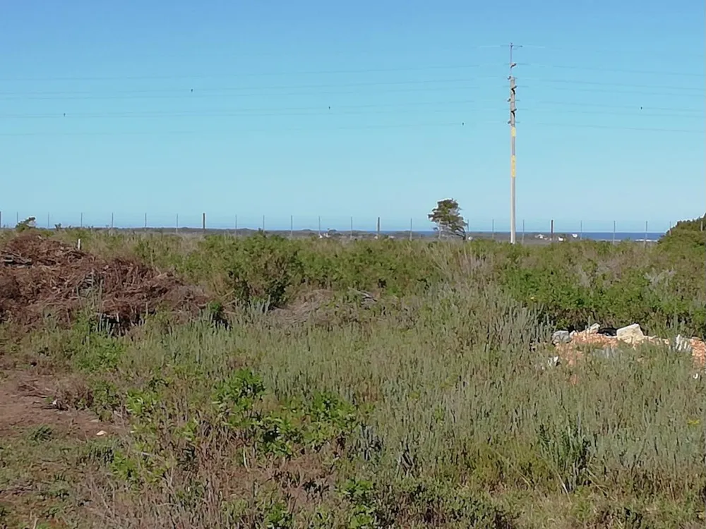 Vacant land sold in St Francis Bay Rural - 1SA1697322 Vacant land sold in St Francis Bay Rural - 1SA1697322