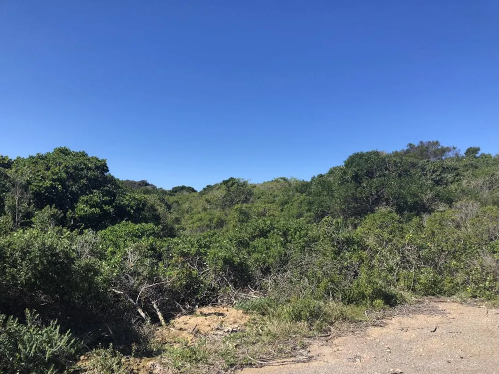 Vacant land for sale in Cannon Rocks - 1KO1709281