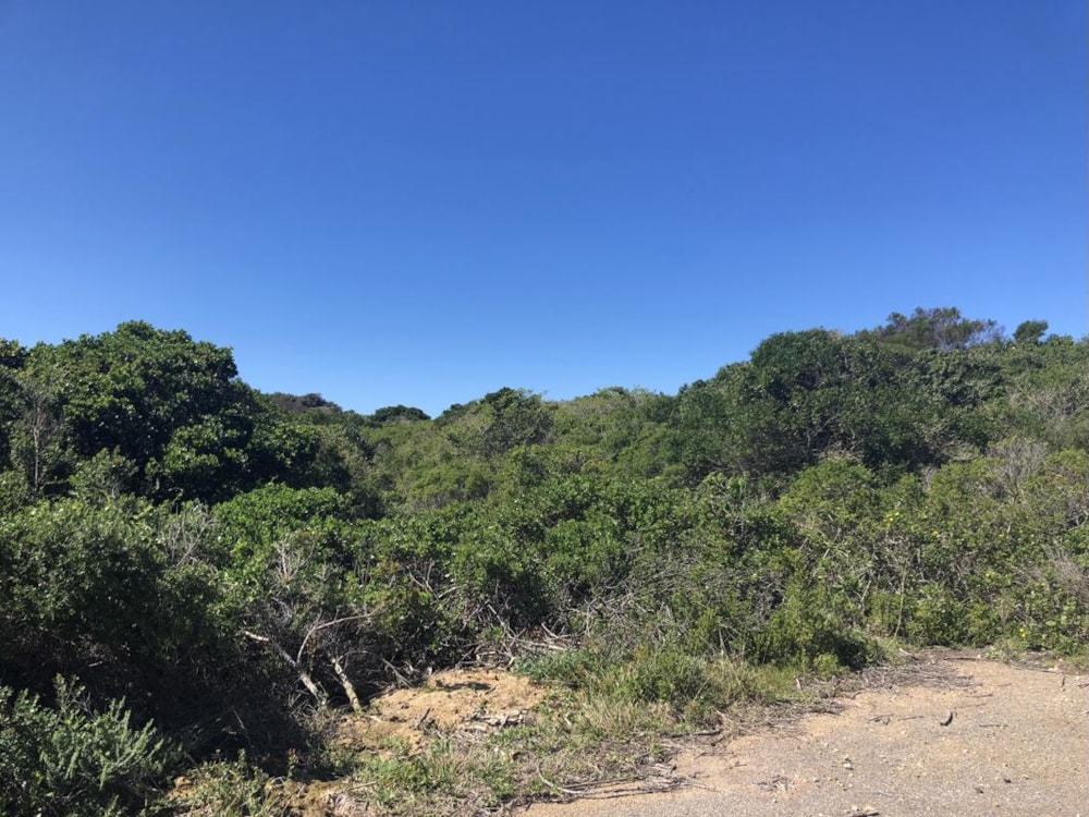 Vacant land for sale in Cannon Rocks - 1KO1709281 Vacant land for sale in Cannon Rocks - 1KO1709281