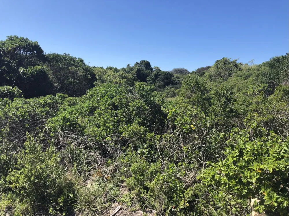 Vacant land for sale in Cannon Rocks - 1KO1709281