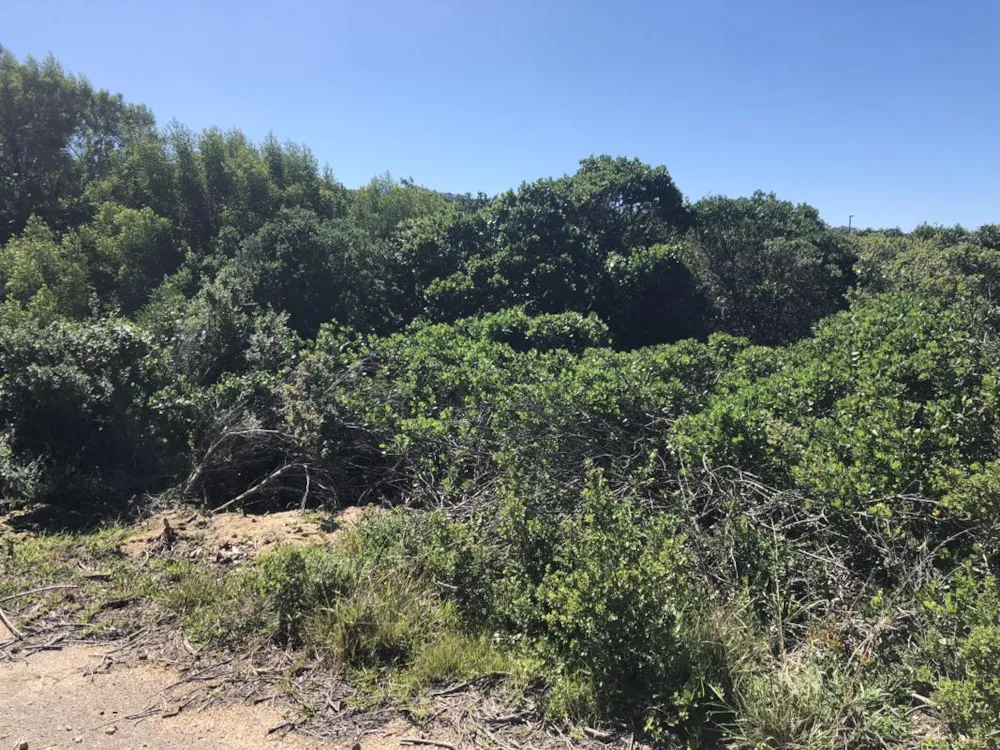 Vacant land for sale in Cannon Rocks - 1KO1709281